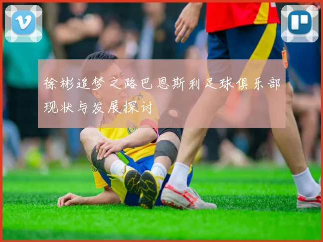 徐彬追梦之路巴恩斯利足球俱乐部现状与发展探讨