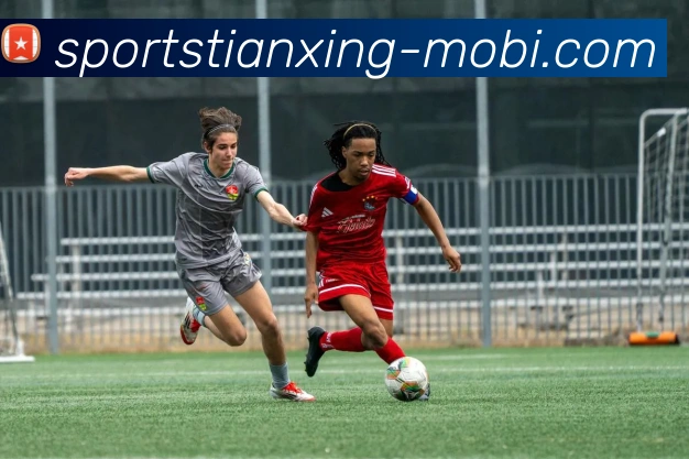 天行体育平台生态图