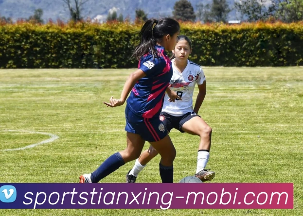 天行体育APP 封面图